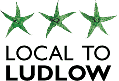 Local to Ludlow logo